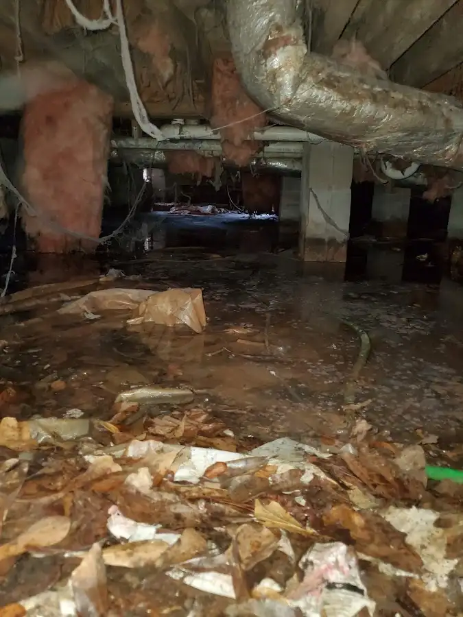 Crawl space flood assessment for Leak Detection & Repair in Smithfield